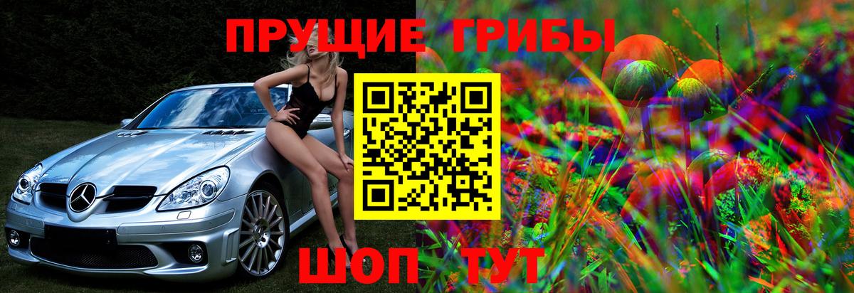 Галлюциногенные грибы Magic Shrooms  Галлюциногенные грибы GOLDEN TEACHER  купить  цена  Новый Уренгой  Вход с VPN 